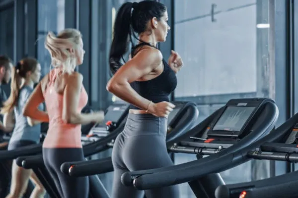 Fichiers des Clubs de Gym et Fitness